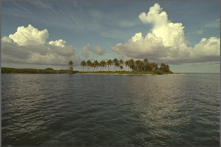 land ahoy
