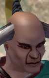 head shot of Ying Yan