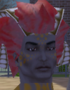 head shot of Fas Terra 6