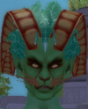 his head