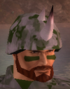 his head