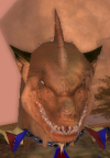 his head